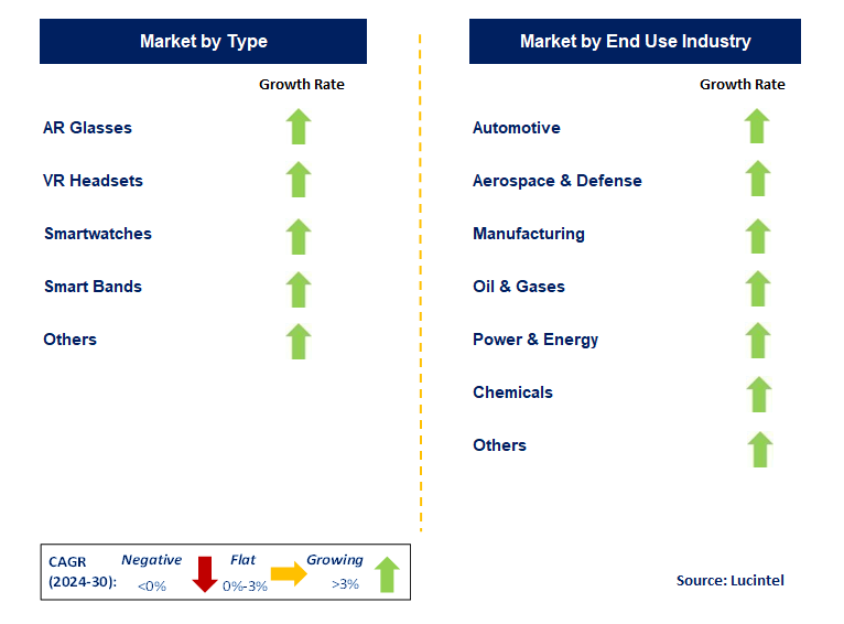 Industrial Wearable by Segment